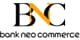 BSI Payment logo